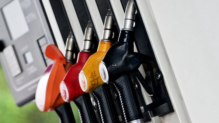 ФОТО: VLADIMIR BARANOV/GLOBALLOOKPRESS