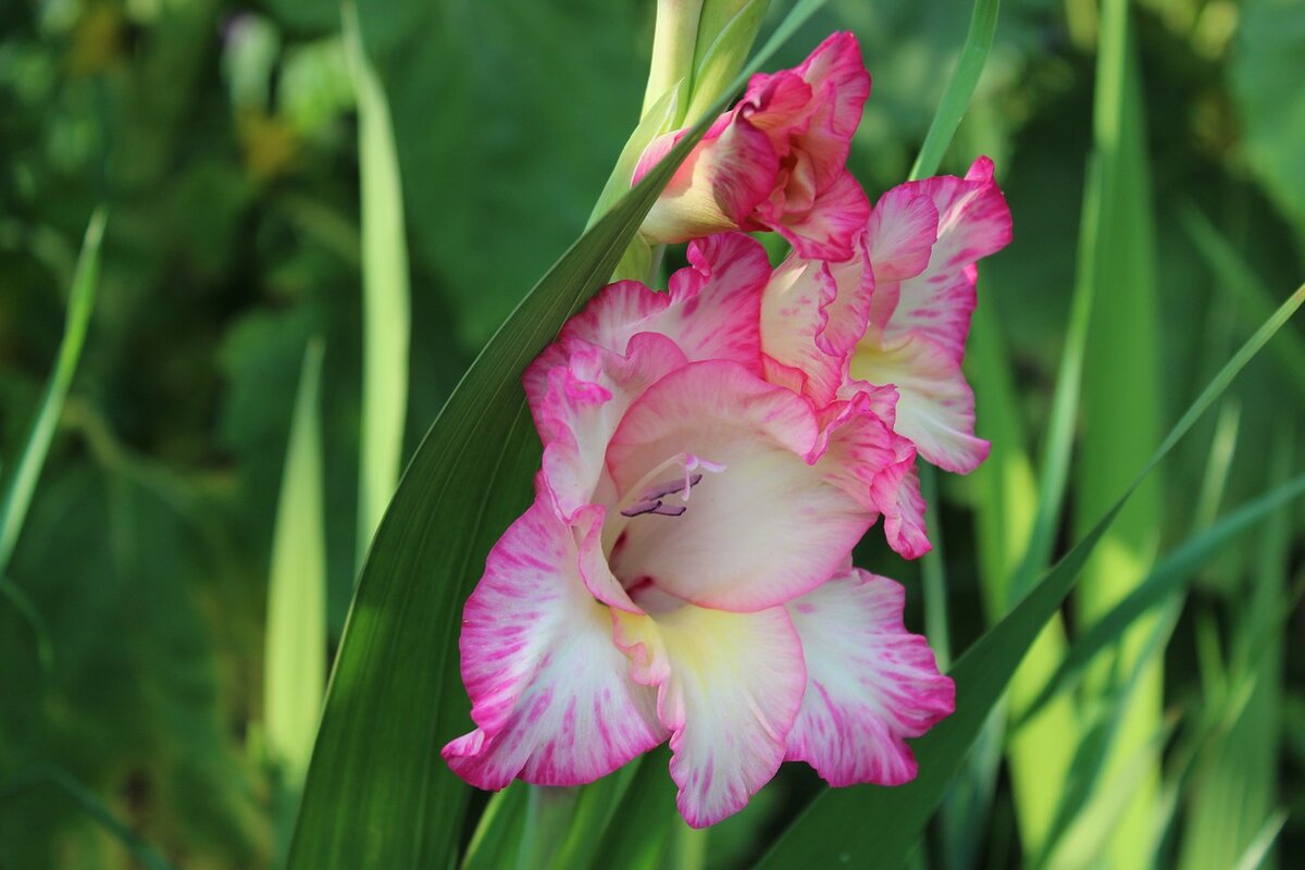 Фото для осеннего настроения