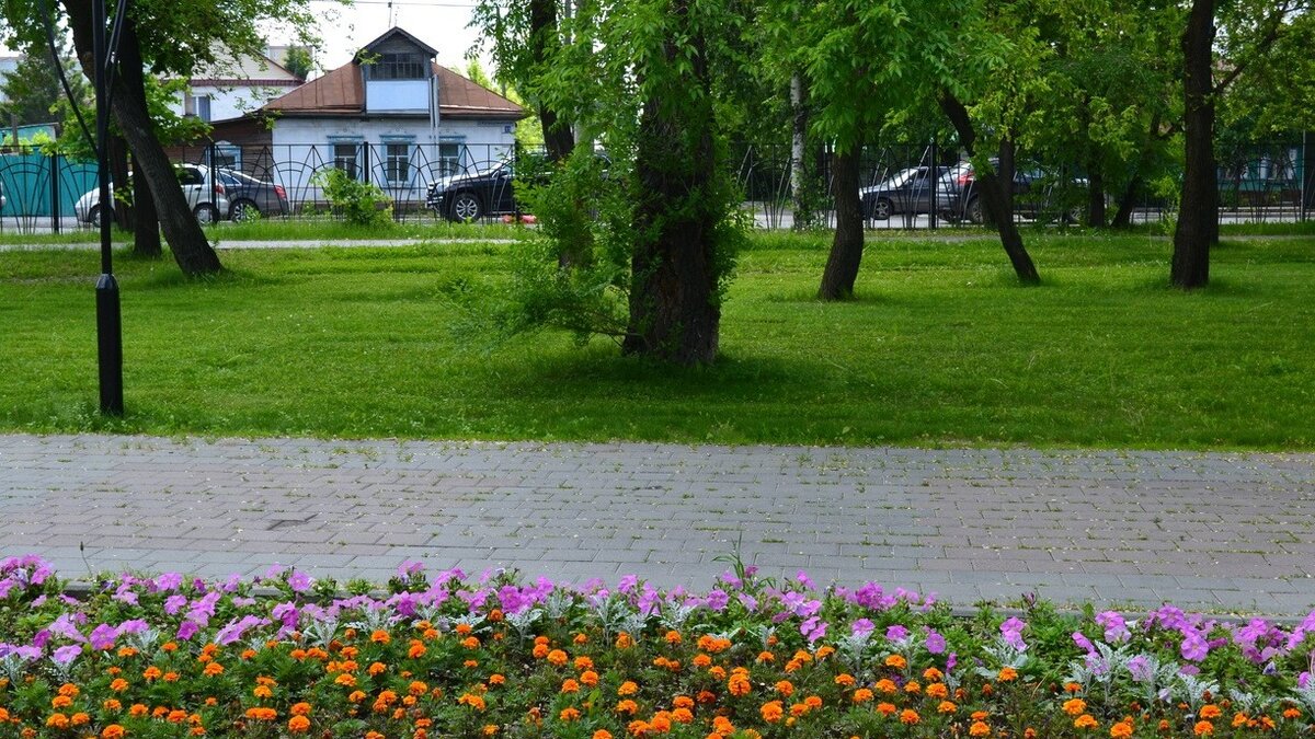     Жители Приморья замечают, что повсюду распускаются цветы. И сейчас, в последние дни сентября, такое явление кажется действительно очень необычным.