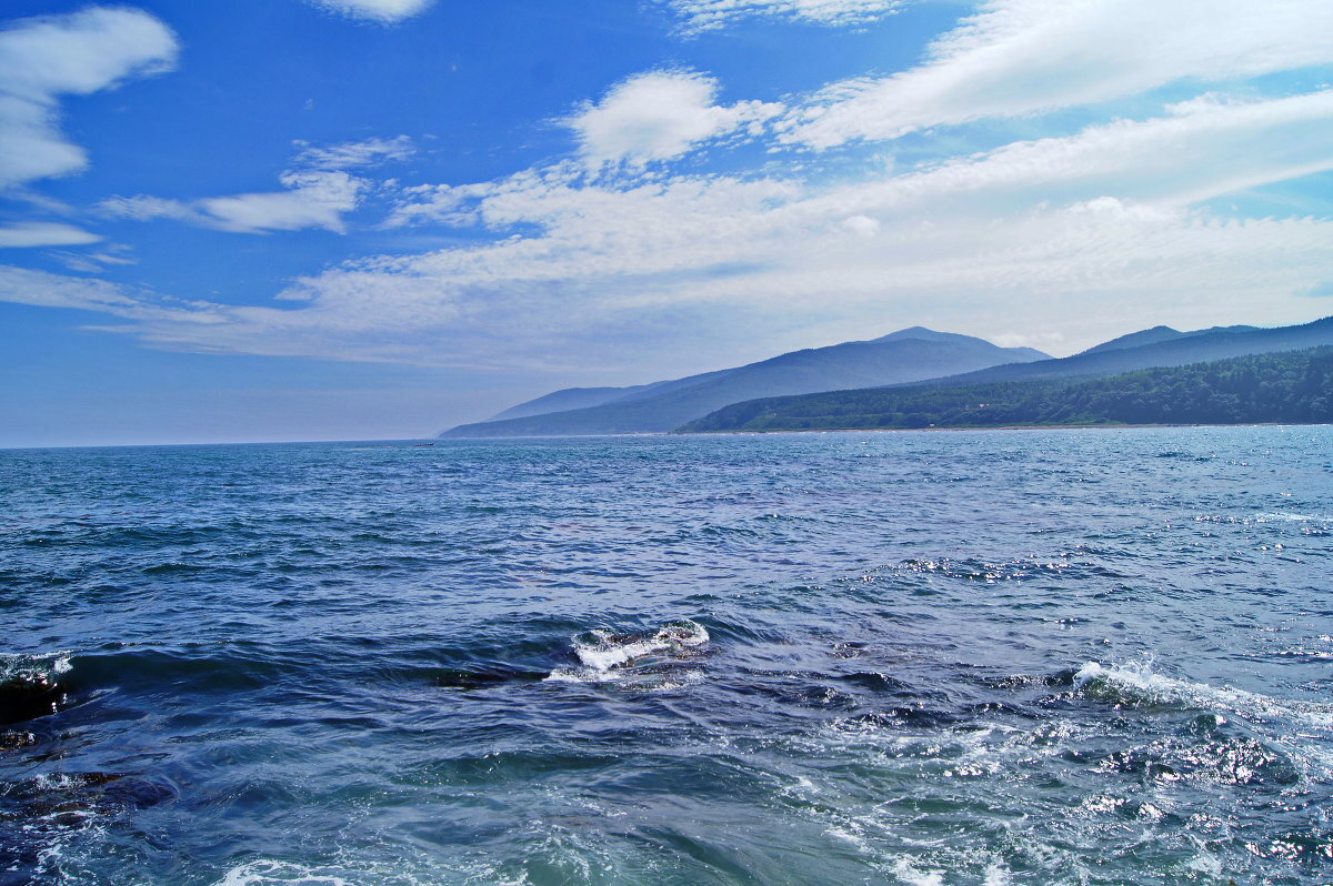 Жить на море – это мечта многих. 