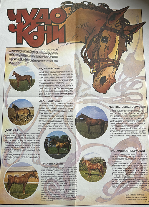 Из архива автора Вячеслава Майера