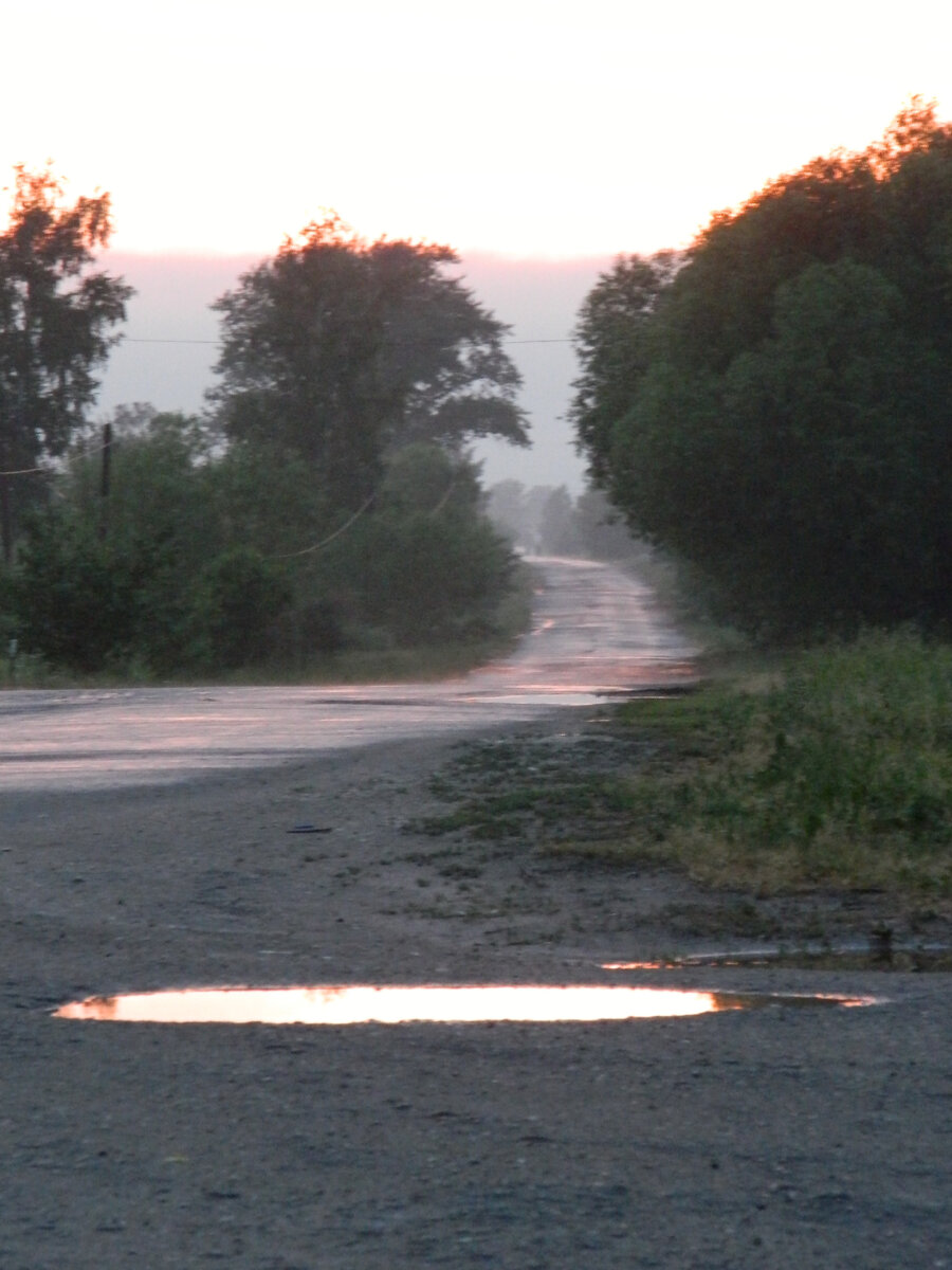 Туман на дороге после дождя>>>