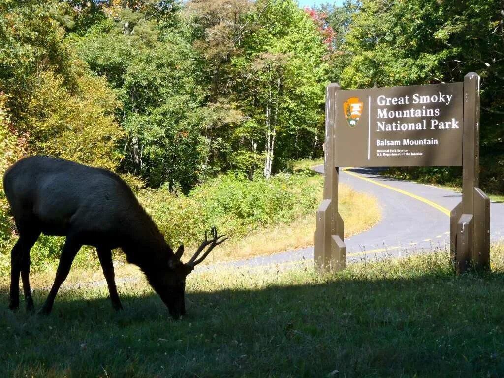 Great Smoky Mountains Tennessee