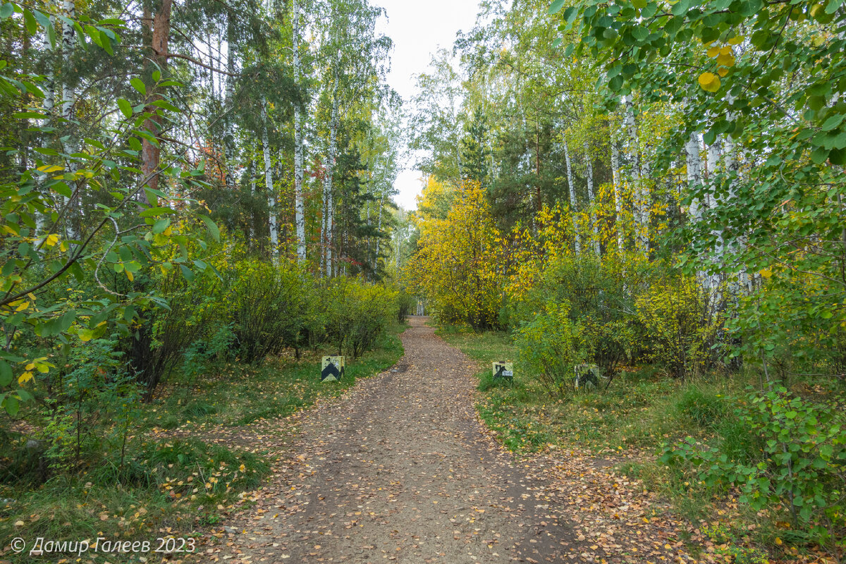 зелени на деревьях ещё много