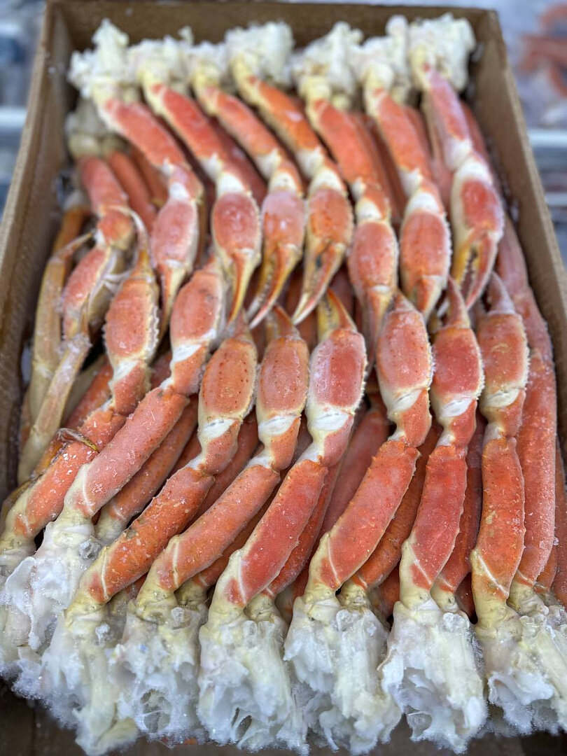 Краб-стригун опилио крупные клешни от "Азбуки Севера"