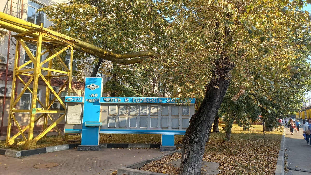 ФР осень 2023 Фото автора