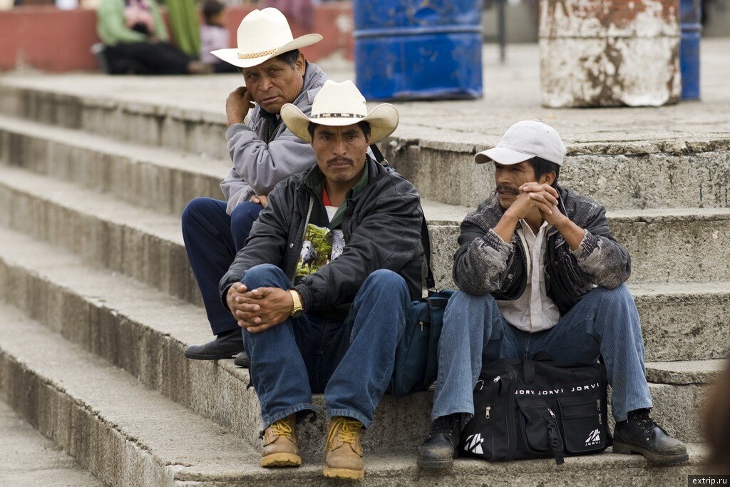 просто жители Мексики. Фото мафиозо не прикрепляю. Они все почему-то по пояс без одежды, меня алгоритм Дзена разлюбит за такие фото.