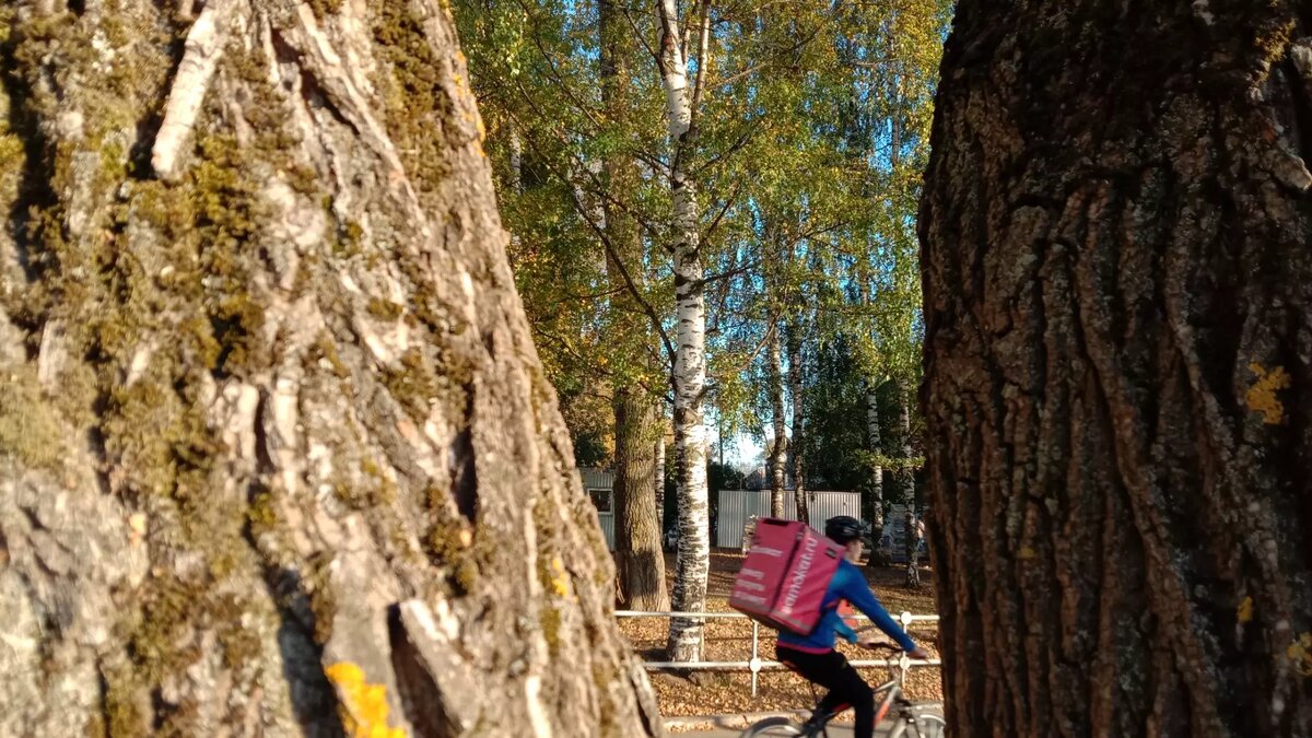     В Ростове-на-Дону в начале октября ожидается теплая погода, а температура поднимется до 27 градусов, сообщили синоптики.