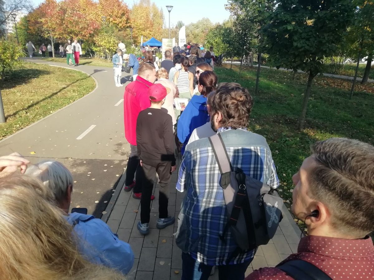 Очередь метров на 200. Кедры раздают в синей палатке вдали.