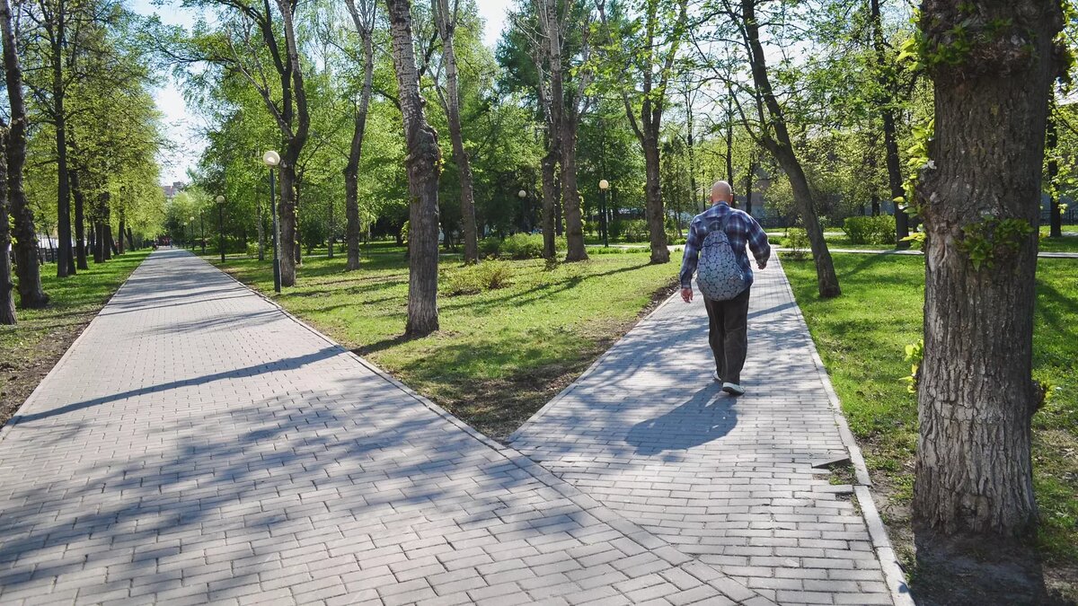     У желающих прогуляться по территории есть в запасе чуть больше двух недель.