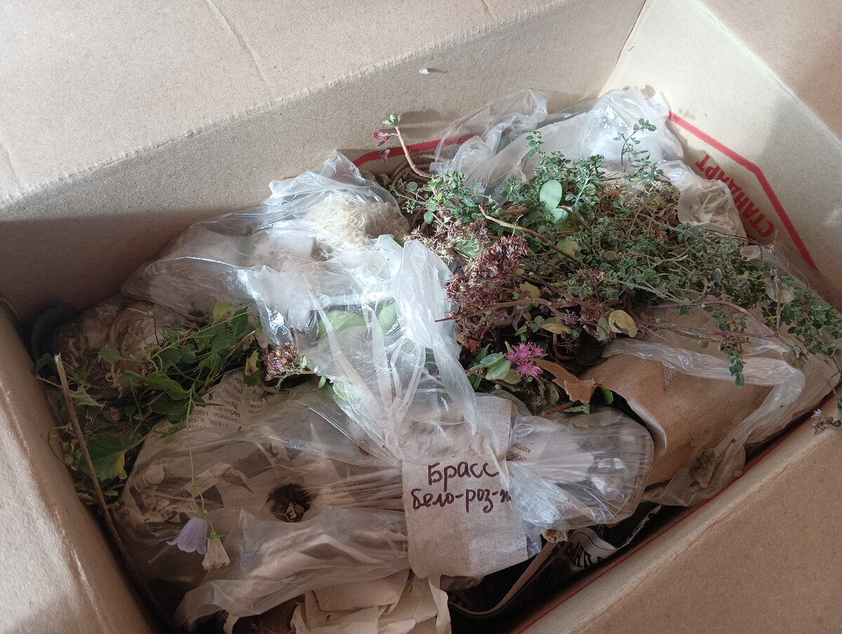 Все фото в статье - авторские. Открыла посылку, убрала сверху защитный слой и глазу открылось это чудо. 