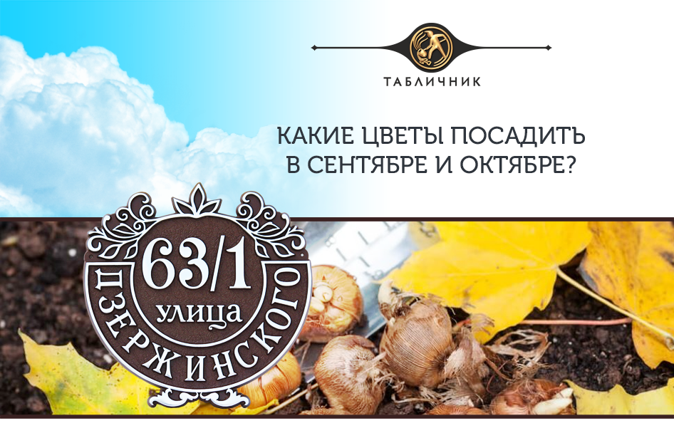 Табличник краснодар. Добрый день это компания табличник. Добрый день это компания табличник. Добрый день это компания табличник. Добрый день это компания табличник.