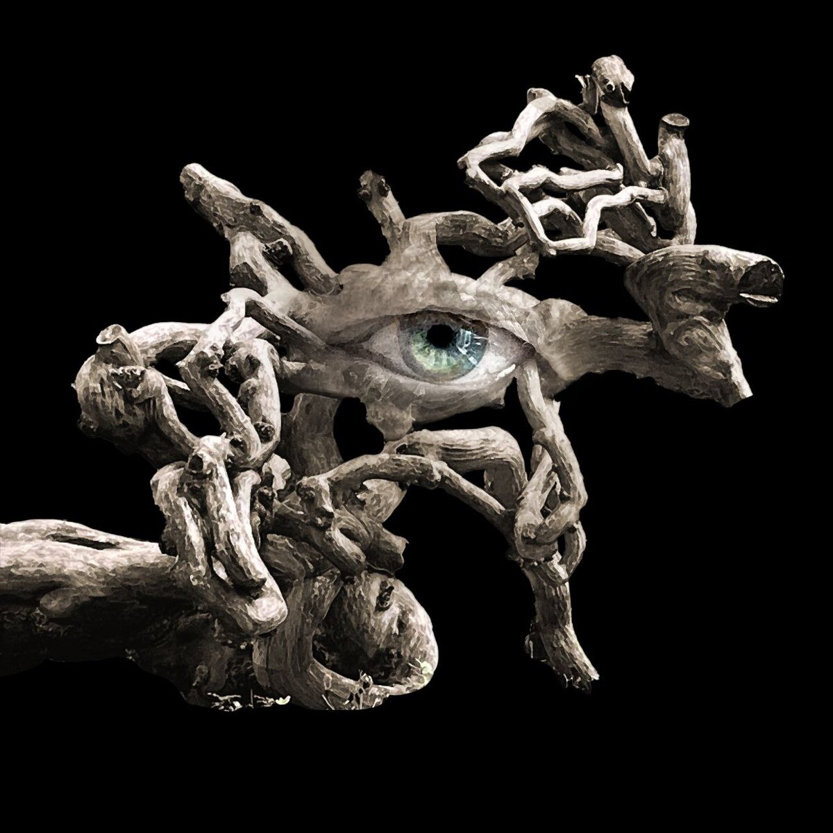 Источник: bg-aquarium.com 