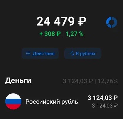 Вложенные средства - 24000р.