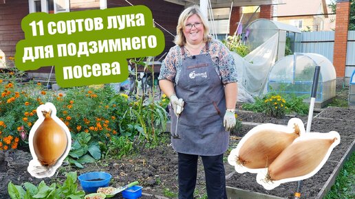 Мастер-класс по стрельбе из лука | Урок стрельбы из лука