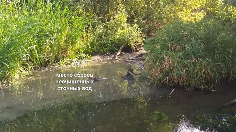     На 1 млн рублей оштрафовали МУП ЖКХ Можги за загрязнение неочищенными сбросами рек Можгинского района.