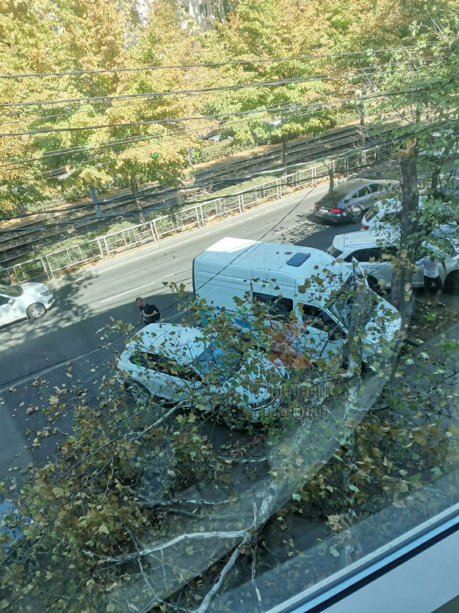 Фото: https://t.me/krd_tipich_ru