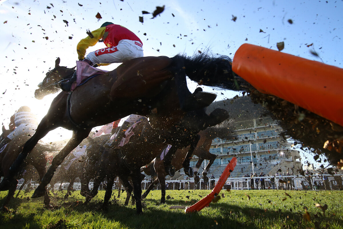 Cheltenham Festival - фотография из открытых ресурсов 