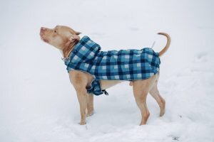    фото: freepik.com/prostooleh Марина Черненкова