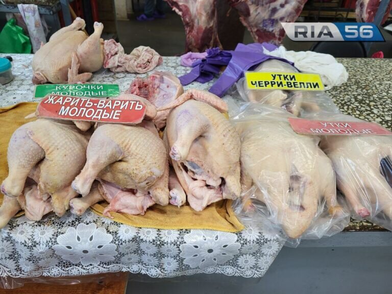    Сильно ли подорожало мясо курицы и индейки в Оренбурге? Кристина Просвиркина