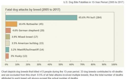 Источник - Google картинки