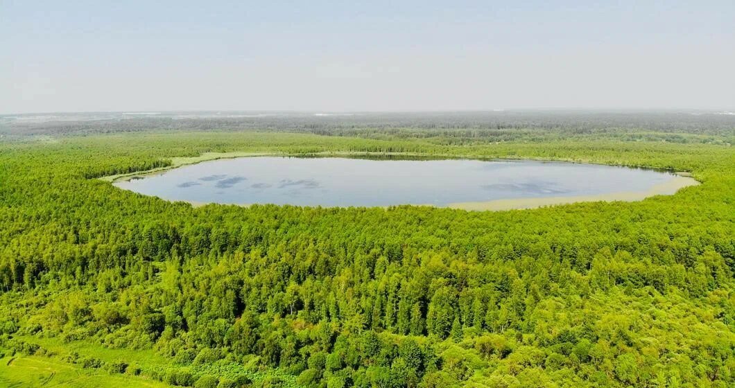 Нерское образовалось в результате стока талых ледниковых вод с Клинско-Дмитровской гряды. В древности Нерское, Круглое и Долгое — представляли собой один большой водоем