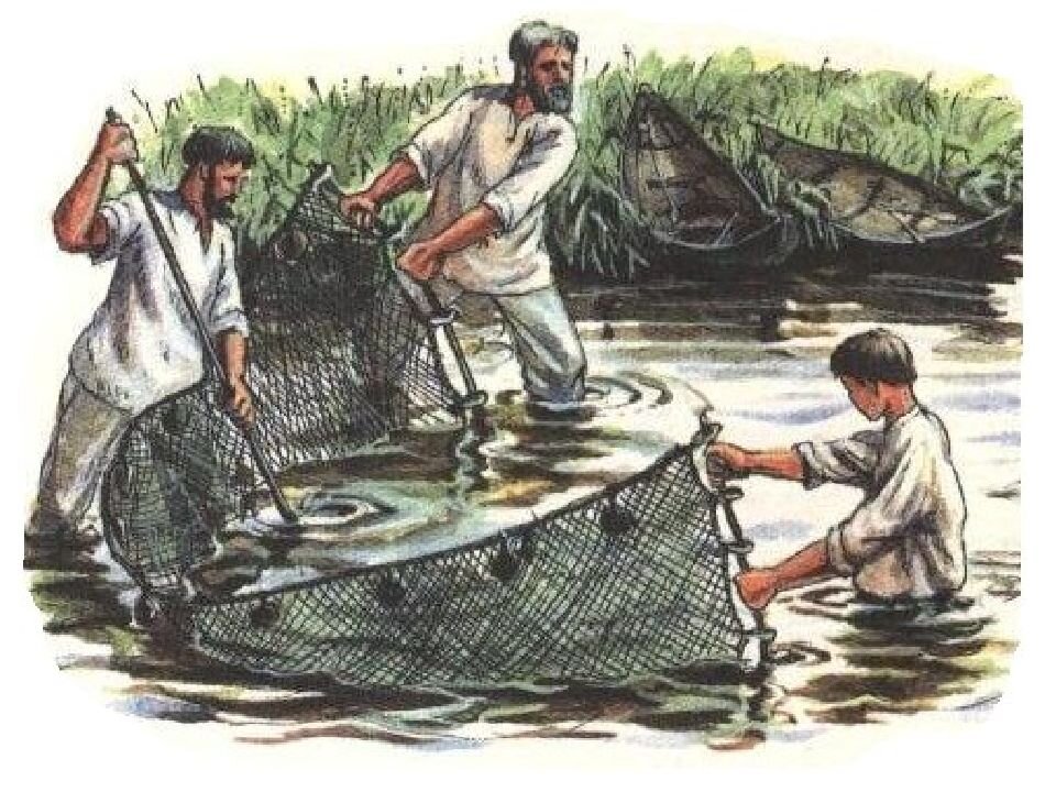 Рыбаки с неводом.