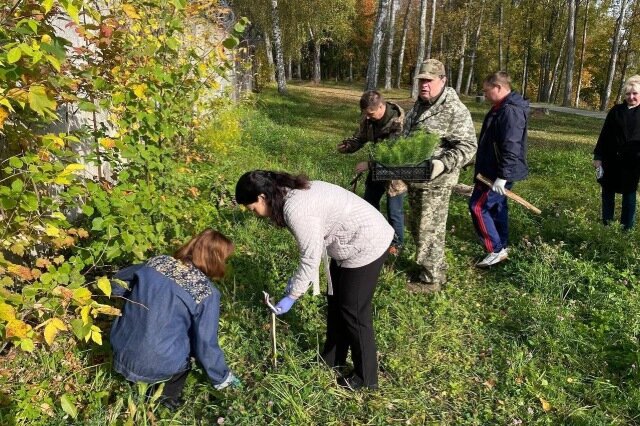    50 сеянцев сосны высадили в городском парке в Наволоках