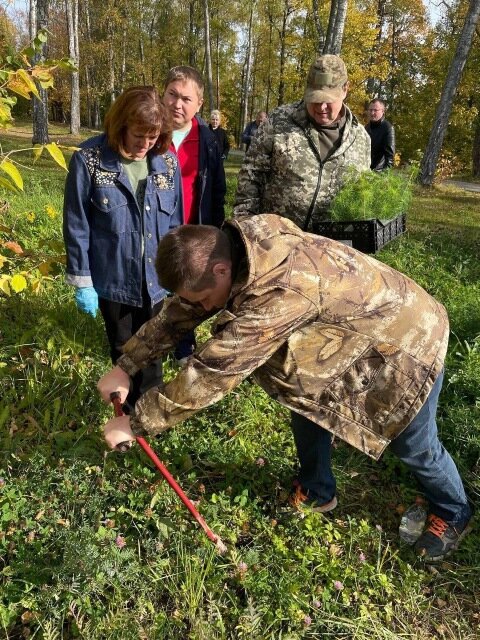    50 сеянцев сосны высадили в городском парке в Наволоках