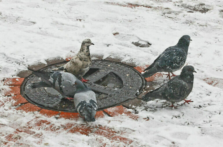   Тимур Ханов/ПГ