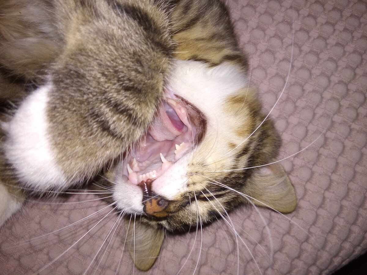 Фото автора. Пришелец.