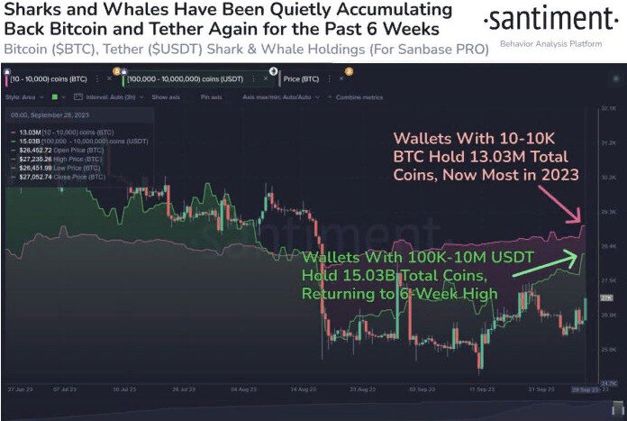 Источник: Santiment