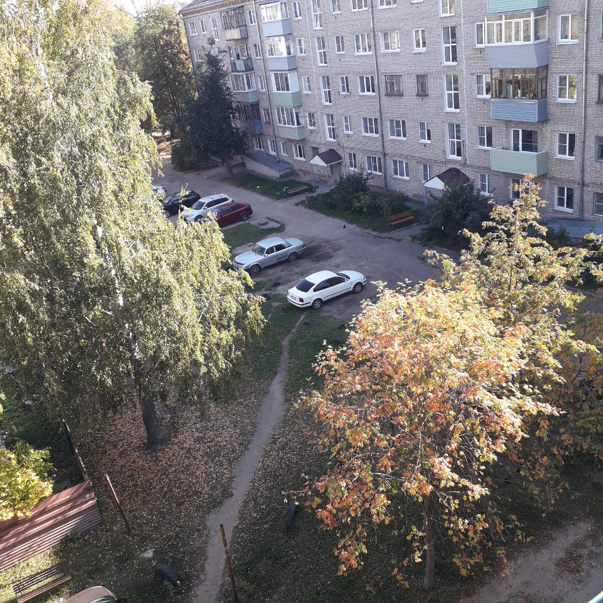 Фото автора. 