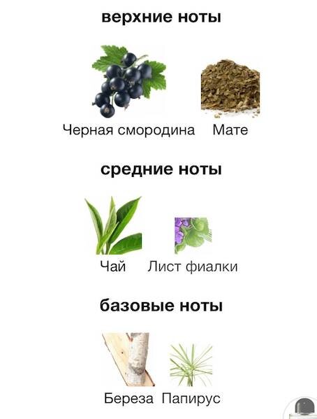 Изображение взято с сайта https://www.fragrantica.ru