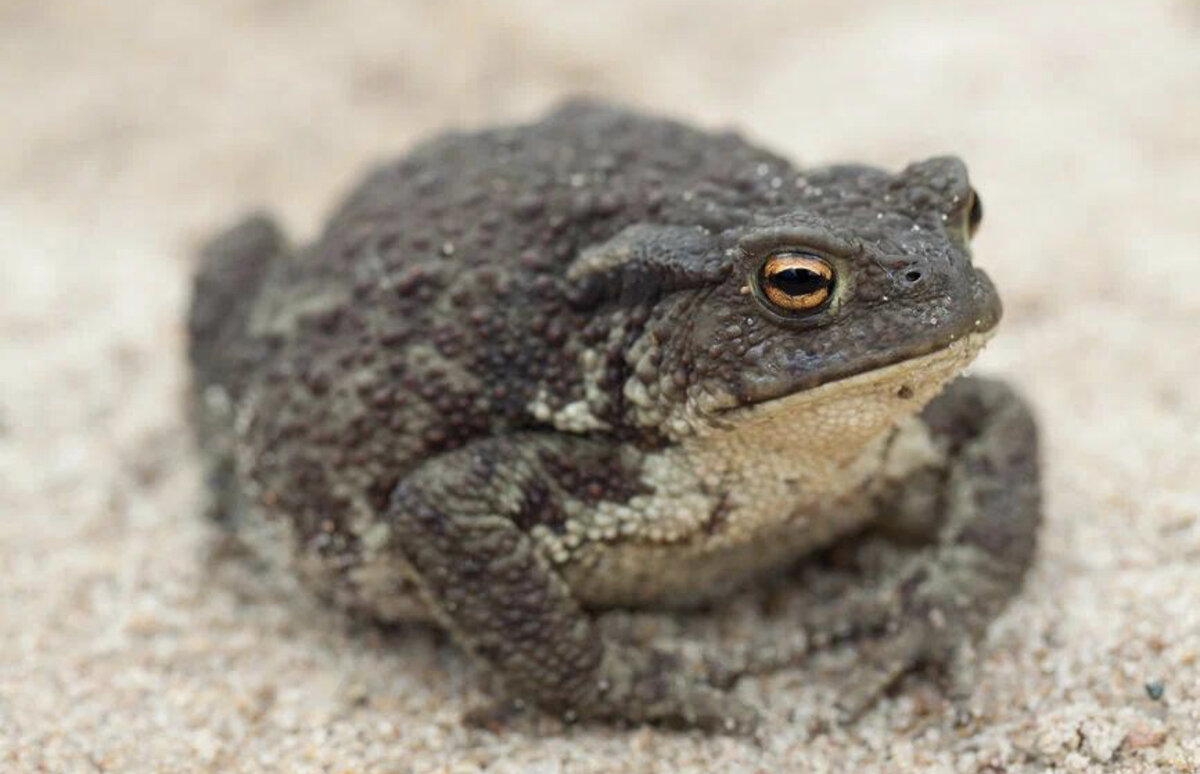 Фото из фотобанка Лори 