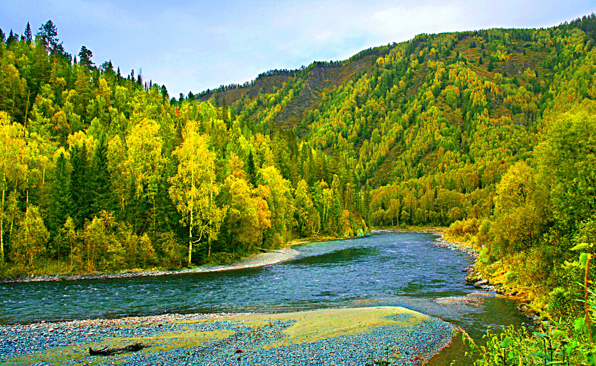 Рыбалка на реке лазурь тверь. Тверь природа. Река илистая у ляличей. Река лазурь тверь. Рыбалка на реке лазурь тверь.