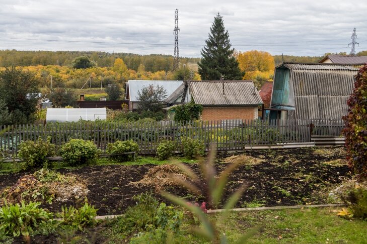    Фото Андрея Заржецкого