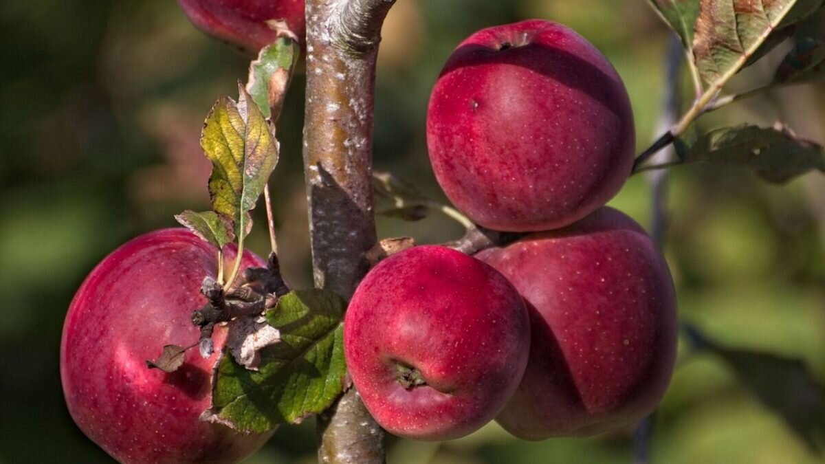    Фото: СС0/Ria Algra. Август Макаров