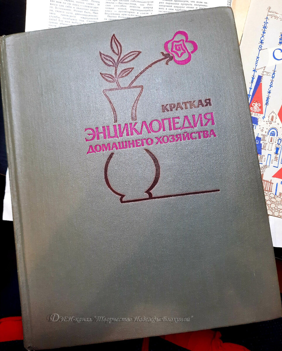 Вот она, моя дорогая!