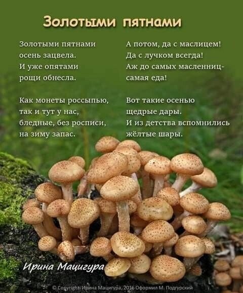 Из соцсетей.