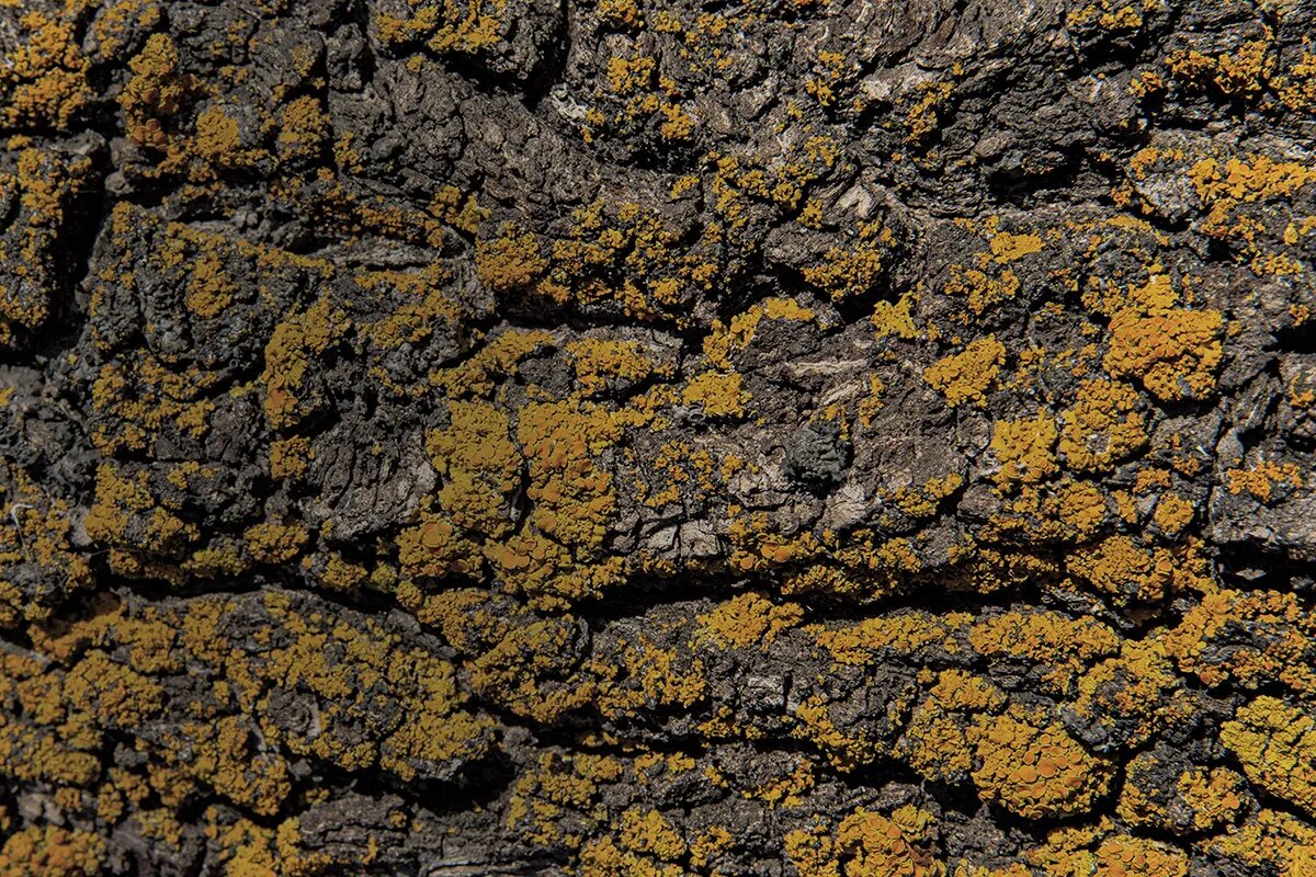 Источник: shutterstock.com