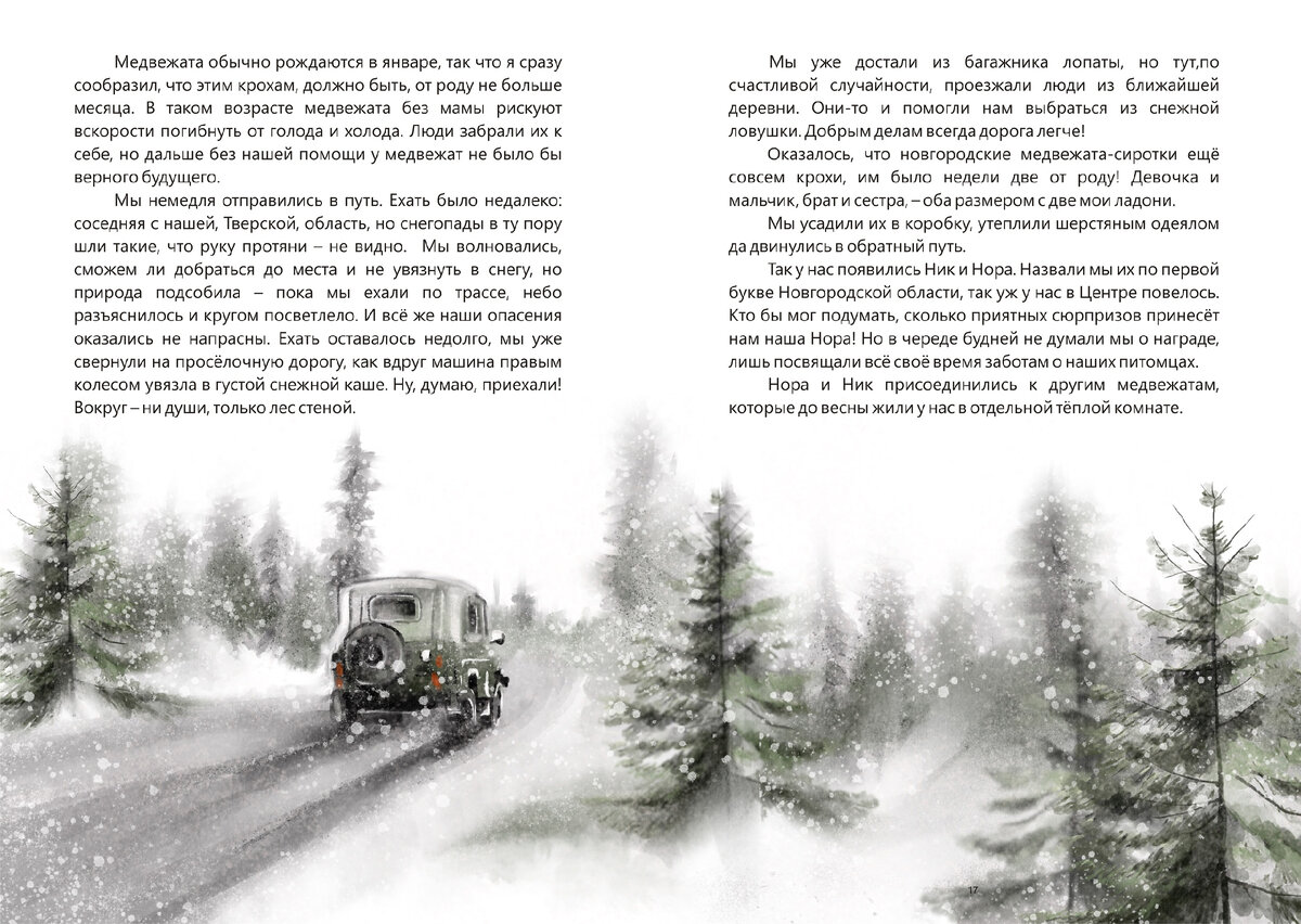 Иллюстрации Юлия Кравченко к книге Марии Савиной «Медвежонок по имени Нора. Добрая история, которая произошла на самом деле»