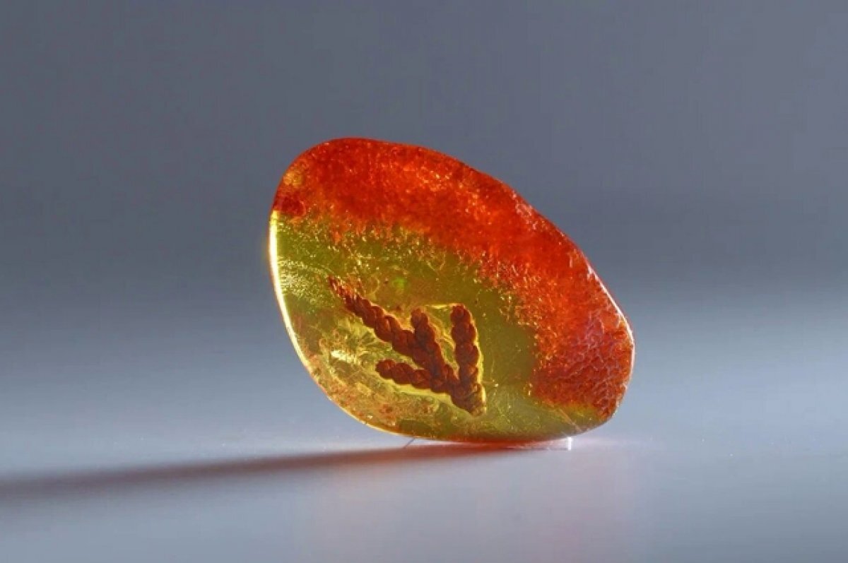    В Калининградской области изъяли более 63 кг незаконно добытого янтаря