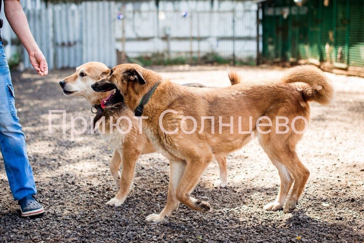 Эта девочка умеет дружить со всеми