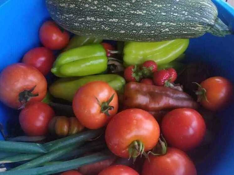     Фото: архив "МК в Калуге"