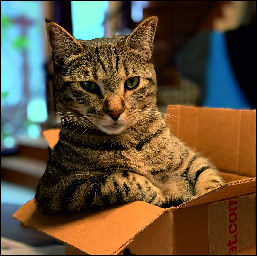 СПОЙЛЕР: Это не прихоть - это природа!