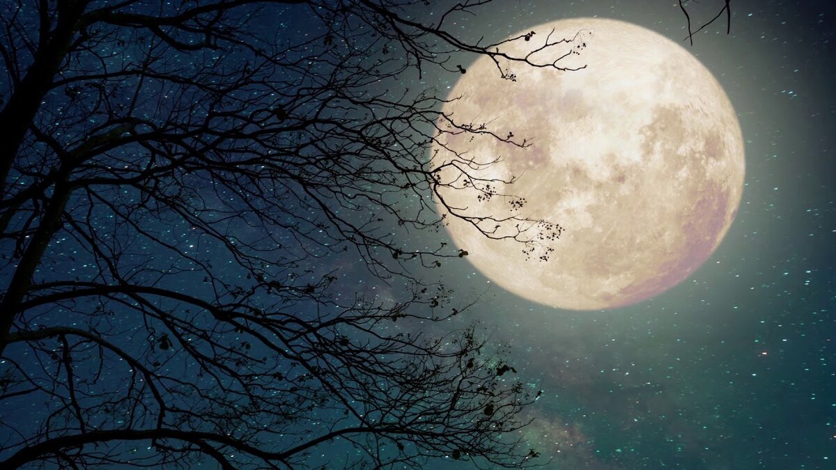 Картинка с сайта youtube.com