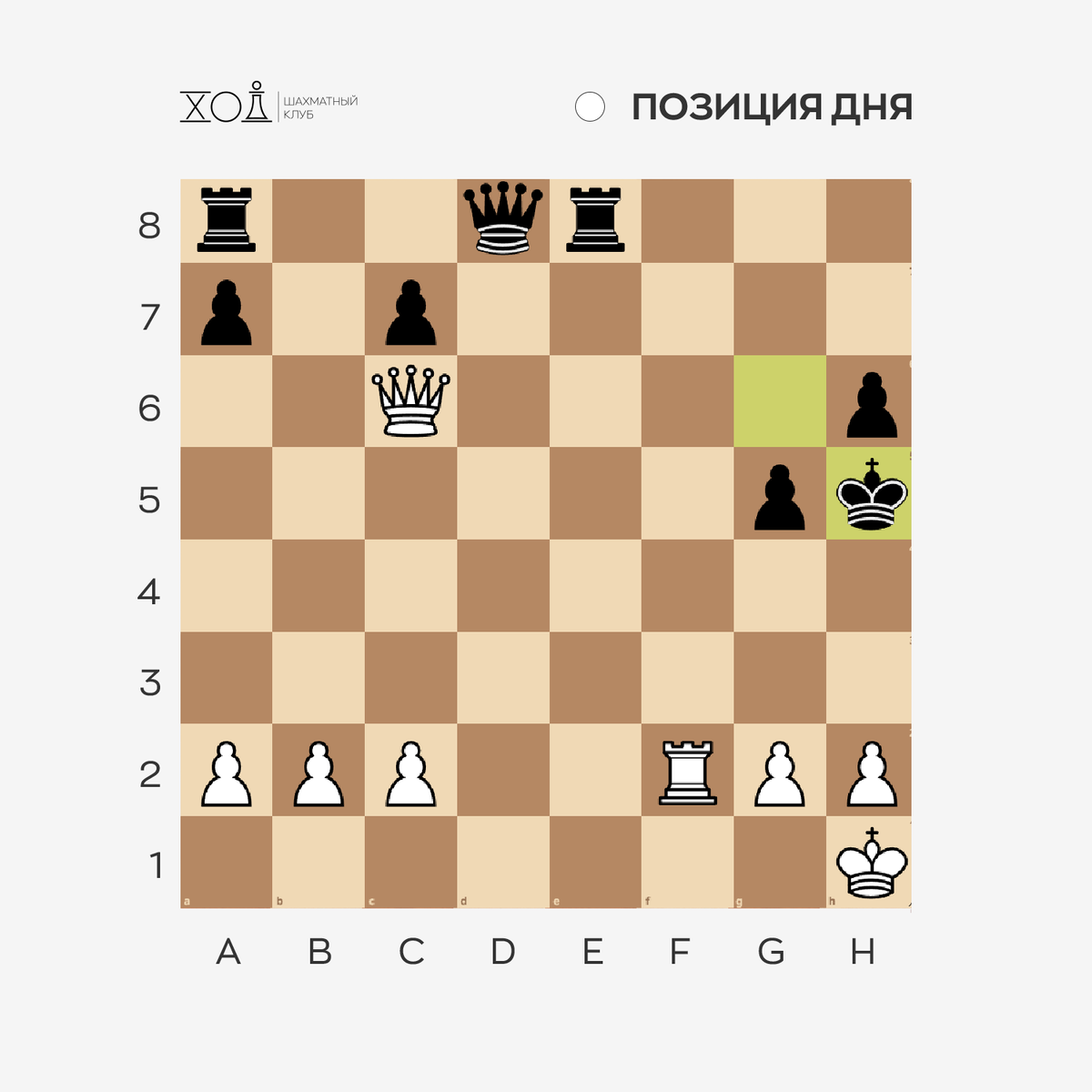 Шахматы в Пятигорск