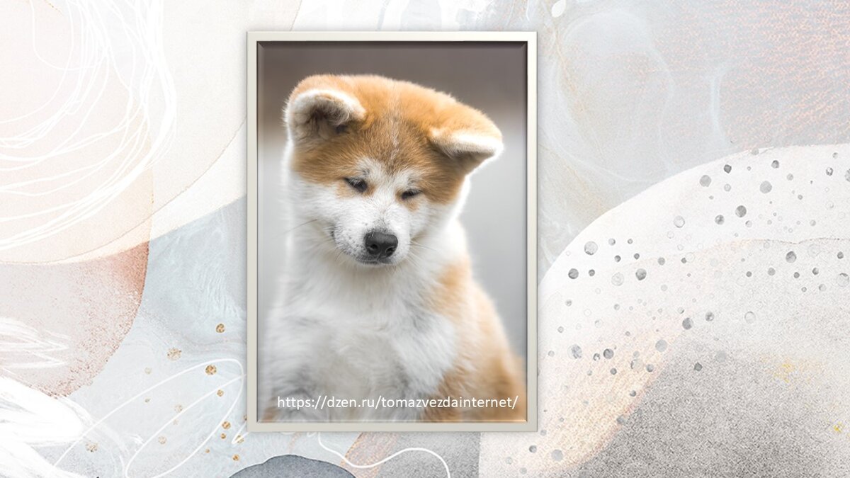 Из открытых источников