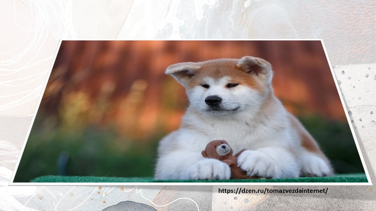 Из открытых источников